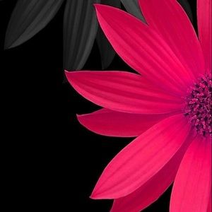 Meet your Posher, Ana